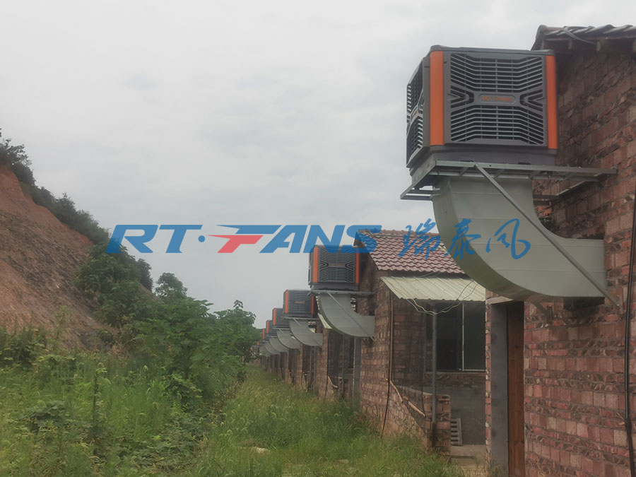 养殖场降温选择什么设备-冷风机降温效果好