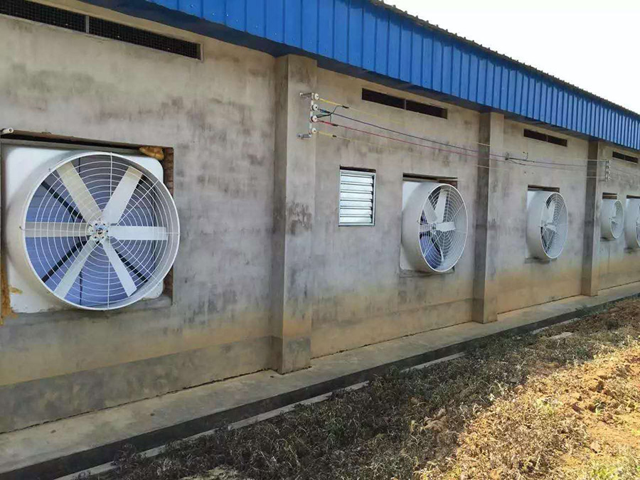 水帘风机降温系统,工厂降温,养殖场降温
