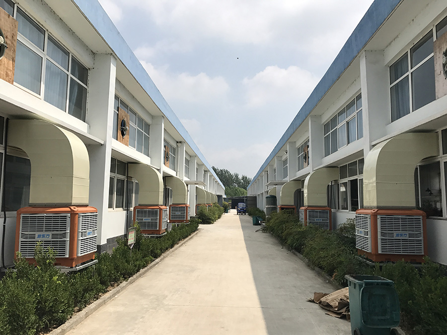 ���L�C�S��,�h(hu��n)�����{(di��o),���L�C