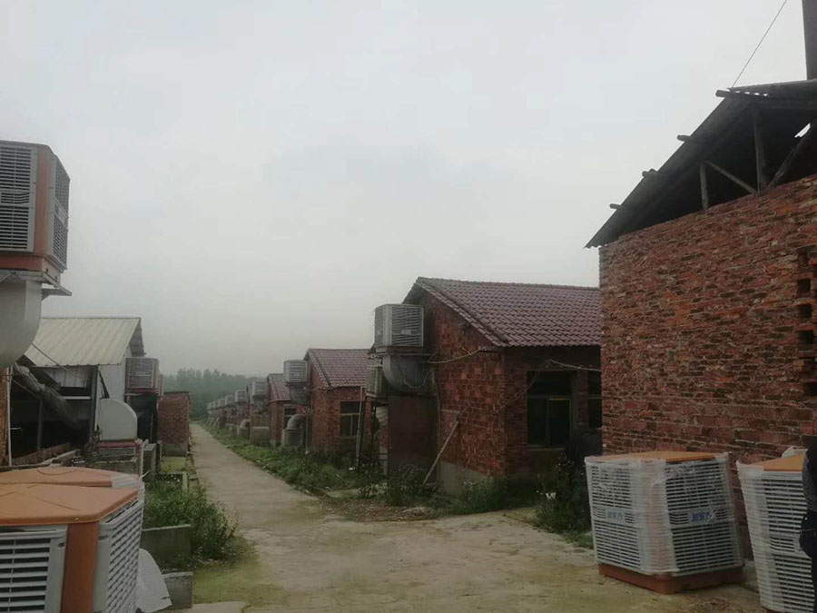 �����O(sh��)��,���L(f��ng)�C(j��),�h(hu��n)�����{(di��o)