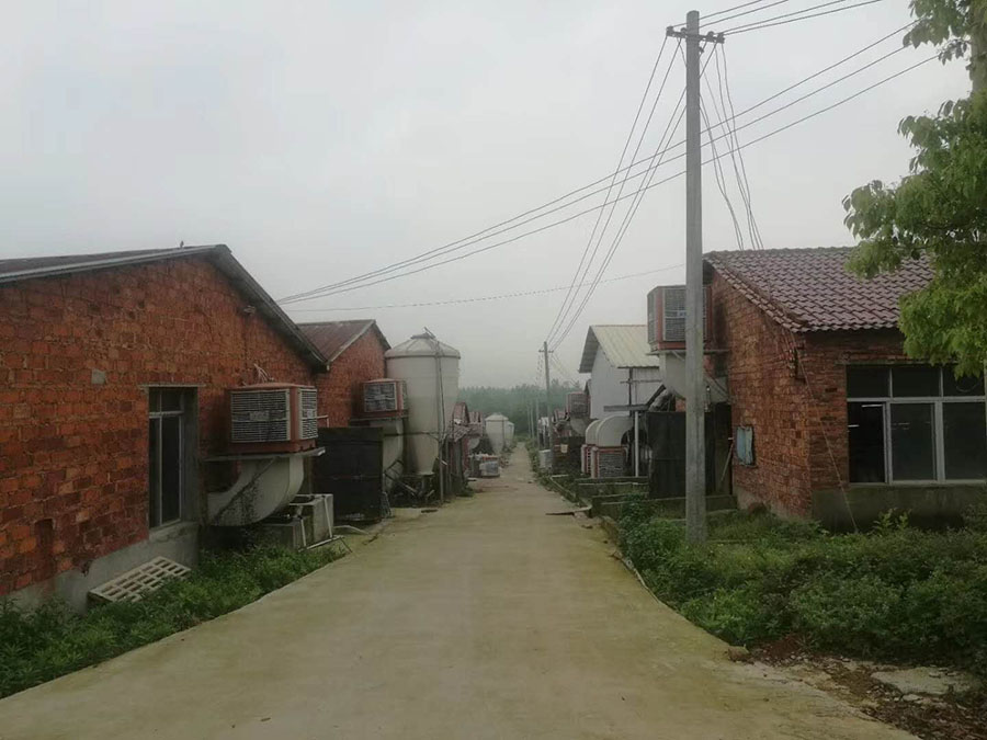 ���L�C,�S������,�h(hu��n)�����{