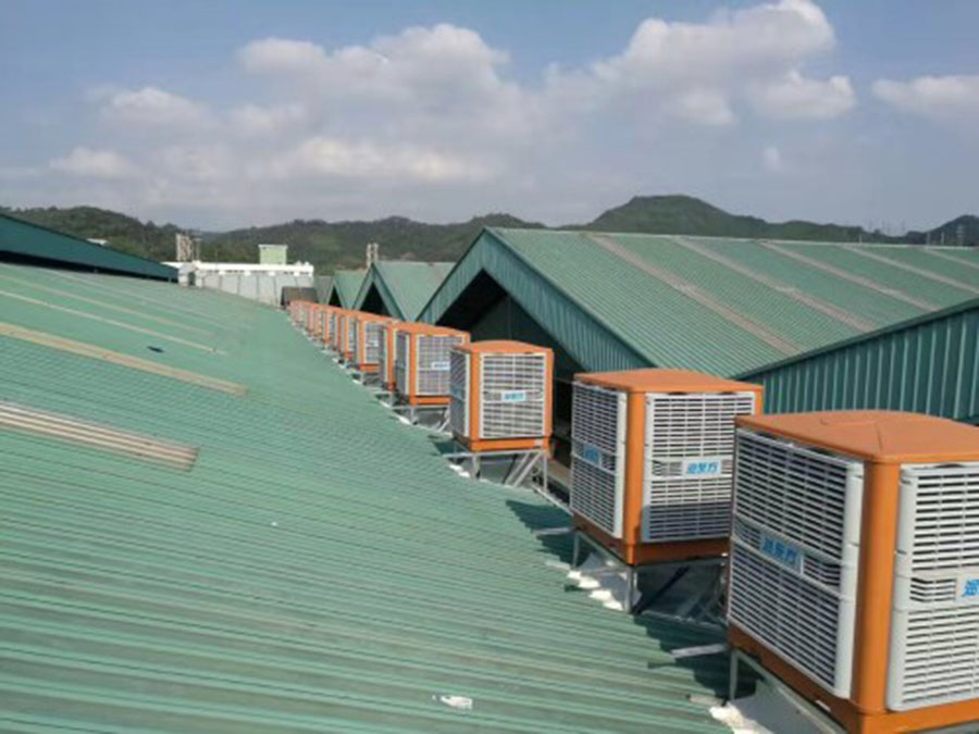 �S������,���I(y��)���L(f��ng)�C(j��),���L(f��ng)�C(j��)